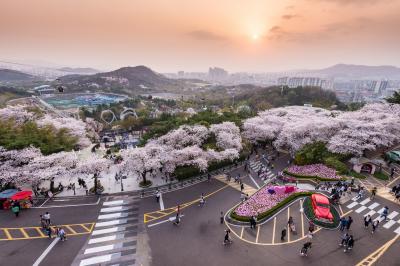 Dễ dàng bay Nhật - Hàn - Đài, săn ngay 200.000 vé từ 0 đồng của Vietjet