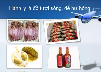 Quy định khi mang hành lý tươi sống lên máy bay