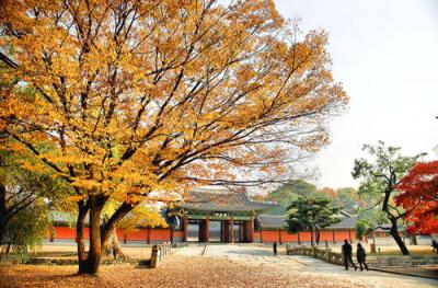 Săn ngay vé máy bay giá rẻ đi Seoul Hàn Quốc.